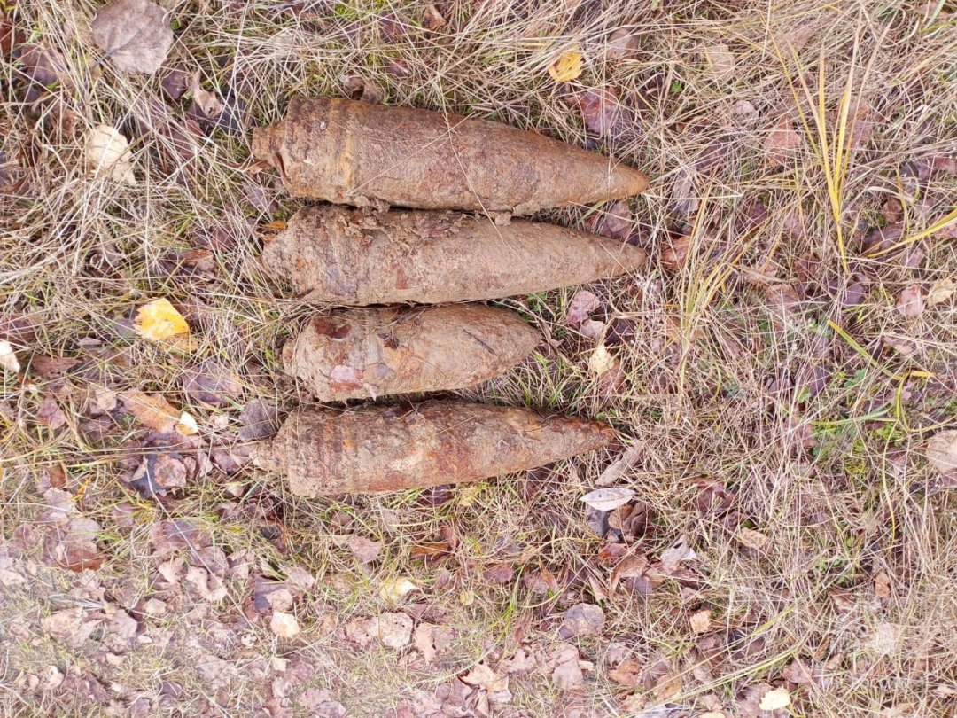 В Дубровском районе обезврежены ВОП времён ВОВ