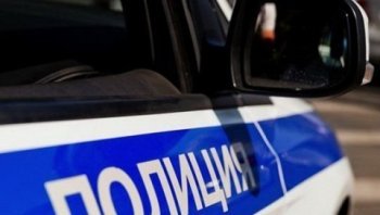 Дубровские полицейские раскрыли кражу с территории частного домовладения